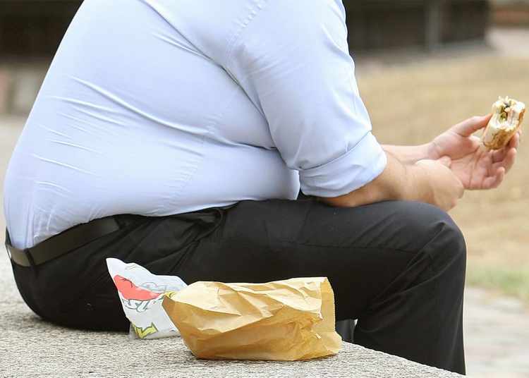 Causas de la obesidad y el sobrepeso