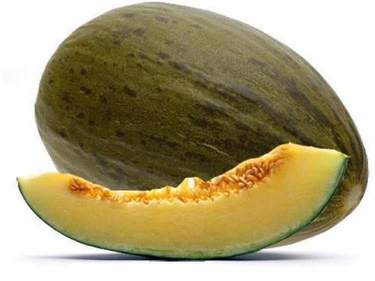 melon propiedades nutricionales melon propiedades nutricionales
