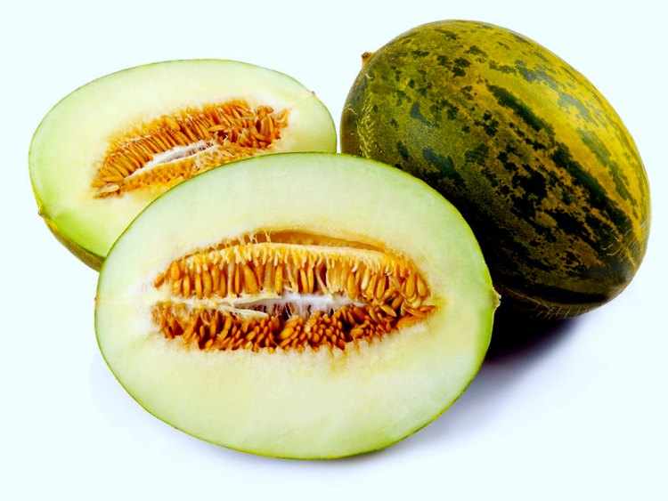 propiedades nutricionales del melon