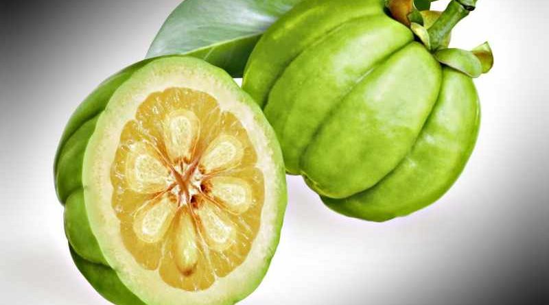 garcinia cambogia propiedades