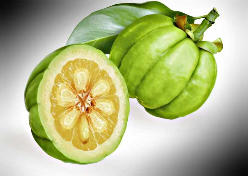 garcinia cambogia propiedades garcinia cambogia propiedades