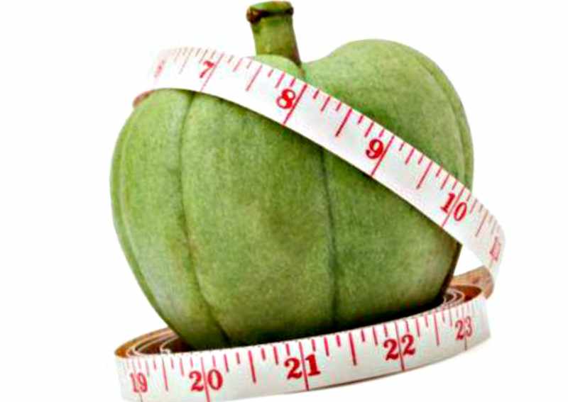 garcinia cambogia garcinia cambogia