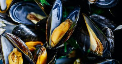 beneficios de los mejillones en lata