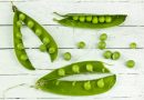 Valor Nutricional de los Guisantes