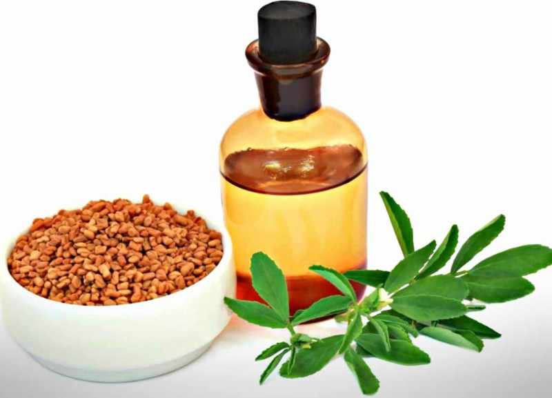 fenogreco para los senos fenogreco para los senos