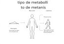 Cómo adaptar tu alimentación según tu tipo de metabolismo